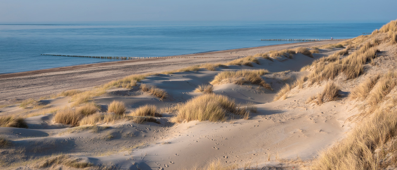 renesse zeeland